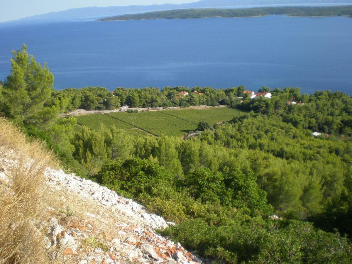 Hvar Melody, Island Hvar, Rosohotnica Bay Basina Extérieur photo