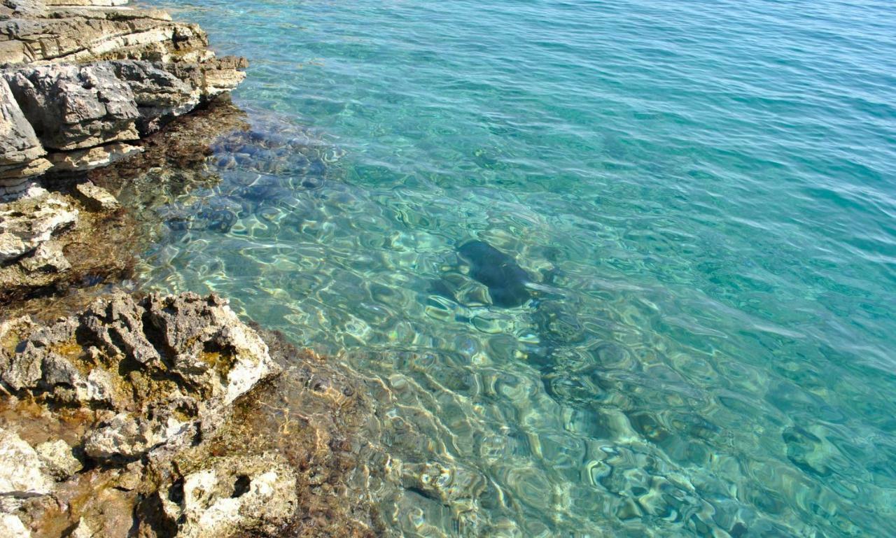 Hvar Melody, Island Hvar, Rosohotnica Bay Basina Extérieur photo